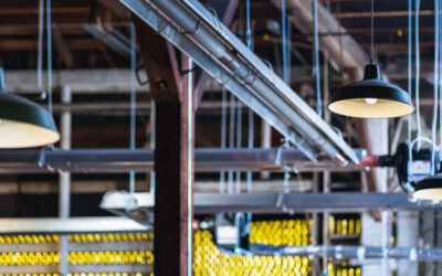 Innovative Automation Builds Scalable Automation Solutions for the Future